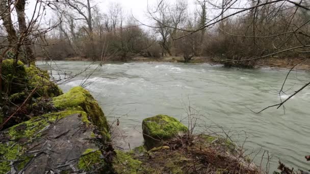 Vista al río — Vídeos de Stock