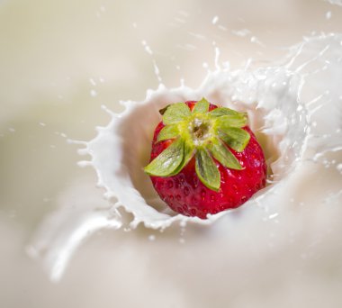 çilekli süt splash