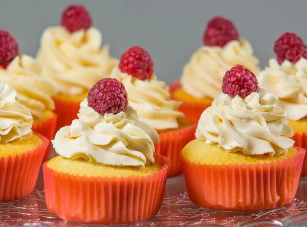 Decorating Cupcakes — Stock Photo, Image