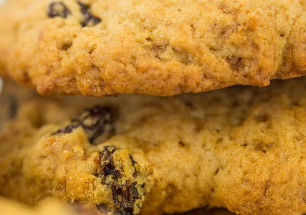 Raisin Cookies — Stock Photo, Image