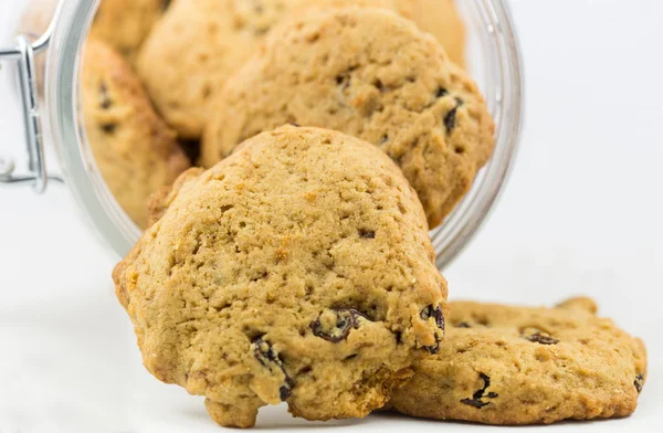 Biscotti all'uvetta — Foto Stock