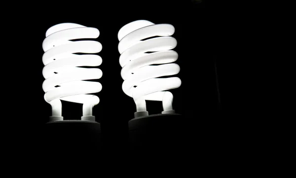 White Light Bulbs — Stock Photo, Image