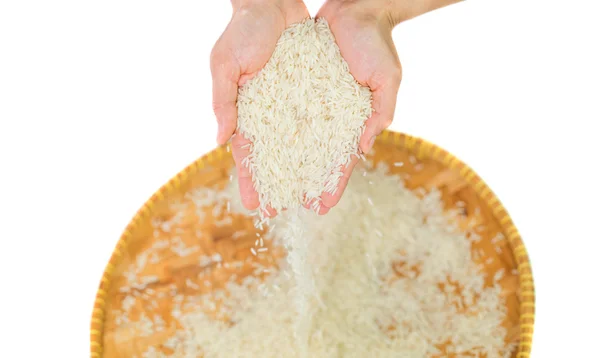 Rice Grain — Stock Photo, Image