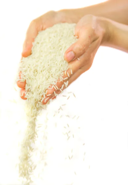 Rice Grain — Stock Photo, Image