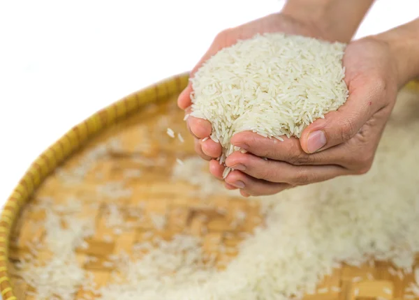 Rice Grain — Stock Photo, Image