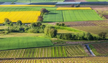 Swiss tarım arazisi