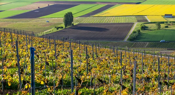 Swiss tarım arazisi — Stok fotoğraf