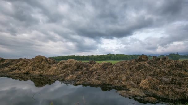 Clouds and Puddle — Stock Video