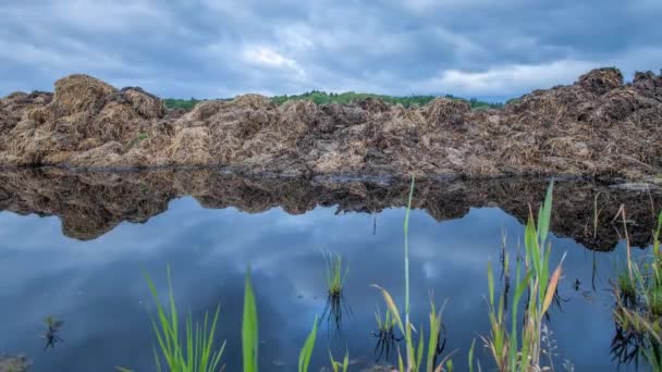 Nubes y charco — Vídeos de Stock