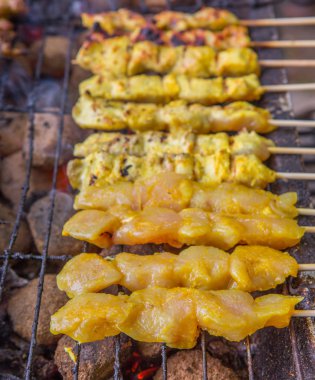 ızgara tavuk satay