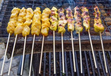 ızgara tavuk satay