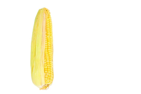 Kukuřičné ucho — Stock fotografie