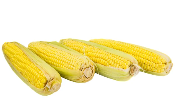 A Group Of Corn — Stock Photo, Image