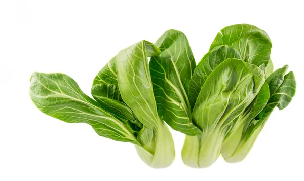 Chinese Cabbage — Stock Photo, Image