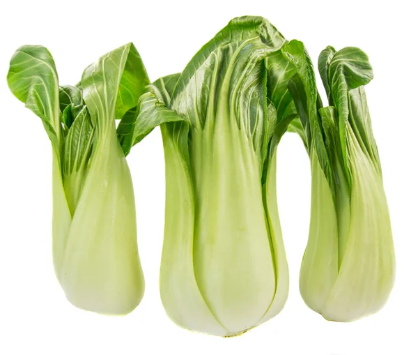 Chinese Cabbage — Stock Photo, Image