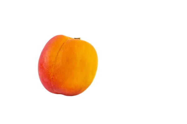 살구 과일 — 스톡 사진