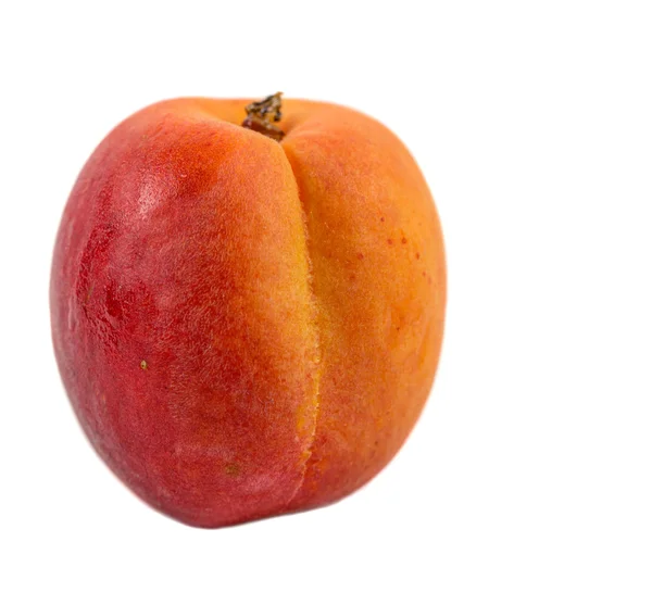 Aprikosenfrucht — Stockfoto