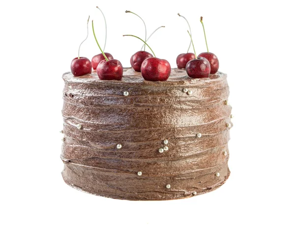 Čokoládový dort — Stock fotografie