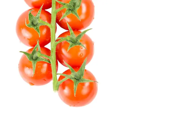 Cherry Tomatoes — Stock Photo, Image