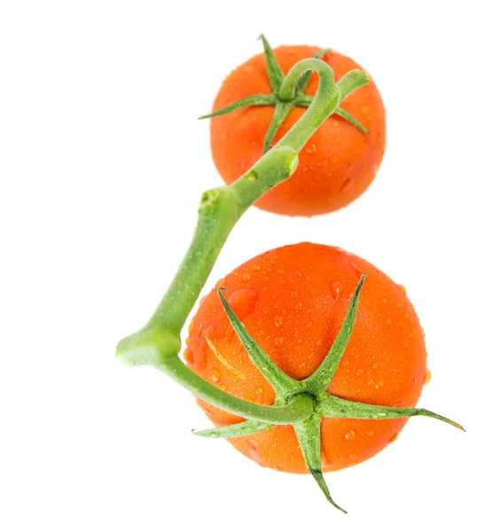 Tomaten — Stockfoto