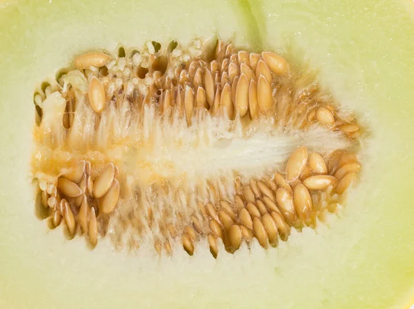 Cut melon — Stock Photo, Image