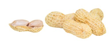 Fıstık