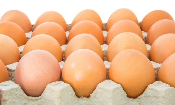 Œufs de poulet dans un carton d'œufs — Photo