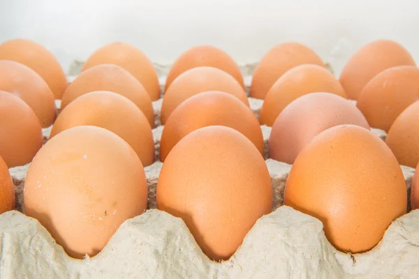 Ovos de galinha na caixa do ovo — Fotografia de Stock