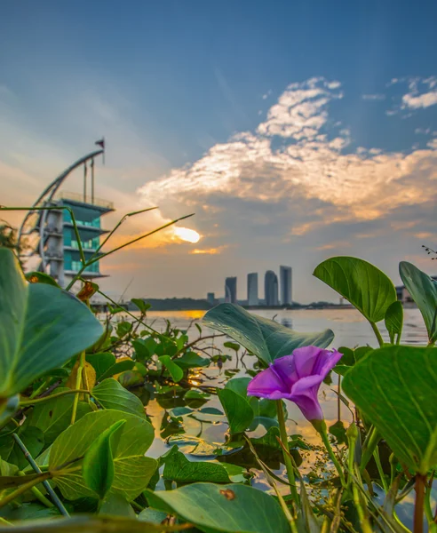 Putrajaya jezero za svítání, Malajsie — Stock fotografie