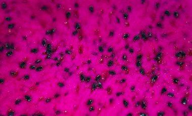 Kırmızı dragon meyve yakın çekim