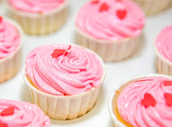Rosa Cupcakes – stockfoto