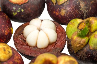 Mangosteen