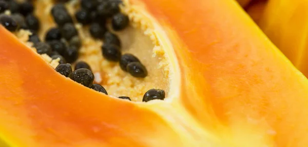 Papaya Fruit — Stock Photo, Image