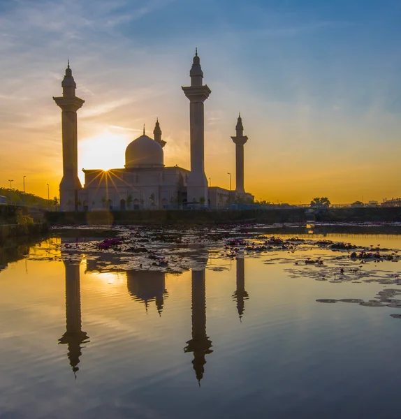 清真寺和反射 — 图库照片