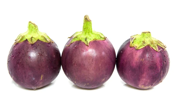 Aubergines — Photo