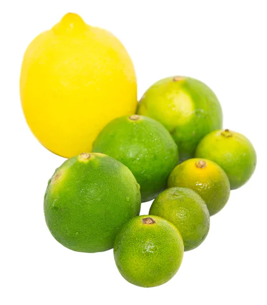 Calamansi, chaux et citron — Photo