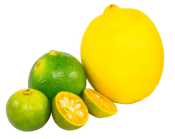 Calamansi, Limette und Zitrone — Stockfoto