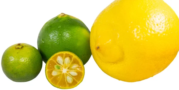 Calamansi, вапно і лимоном — стокове фото