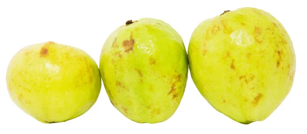Buah Guava — Stok Foto