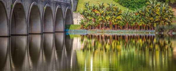 A palma do pôr-do-sol e ponte — Fotografia de Stock