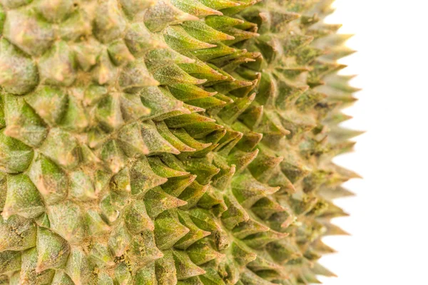 Durian Thorns — Stock Photo, Image