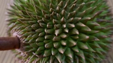 Durian meyve