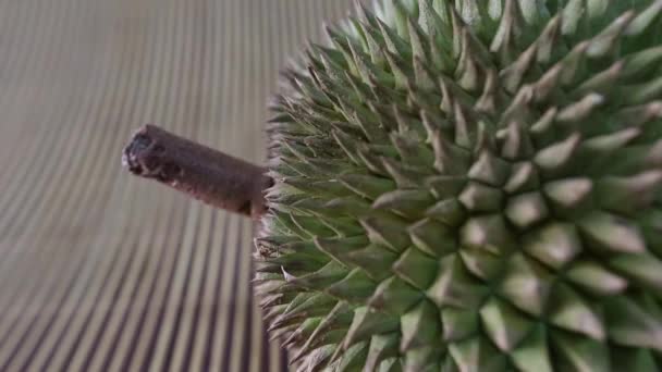 Durian meyve — Stok video