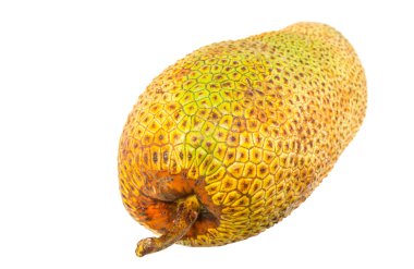 cempedak meyve