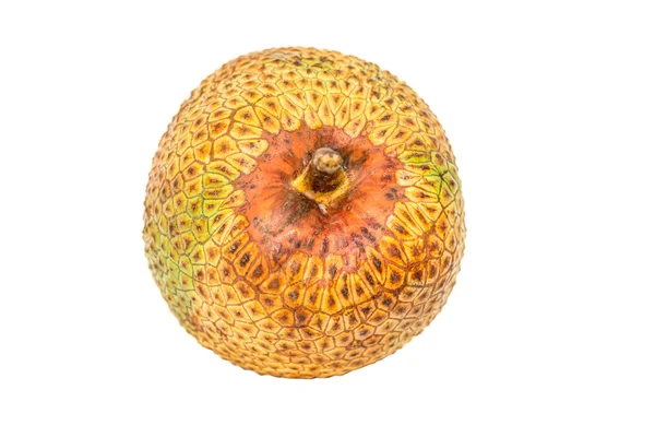 Fruta de Cempedak —  Fotos de Stock