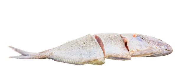 Срібло pomfret риби — стокове фото