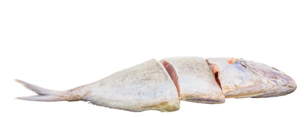 Pescado Pomfret Plata — Foto de Stock