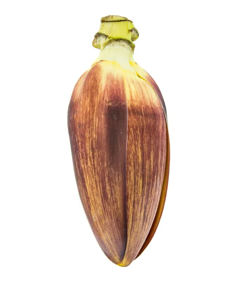 Соцветие банана — стоковое фото