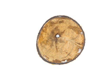 Hindistan cevizi kabuğu