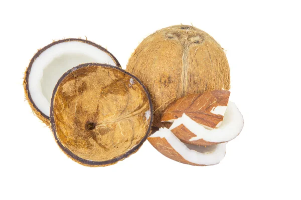 新鮮なココナッツ — ストック写真
